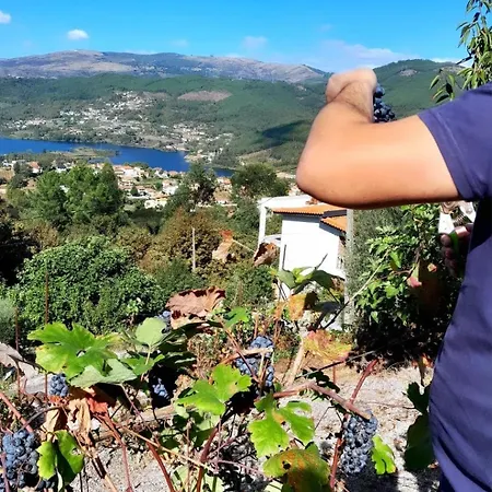 Quinta Da Pedra, Nyaraló